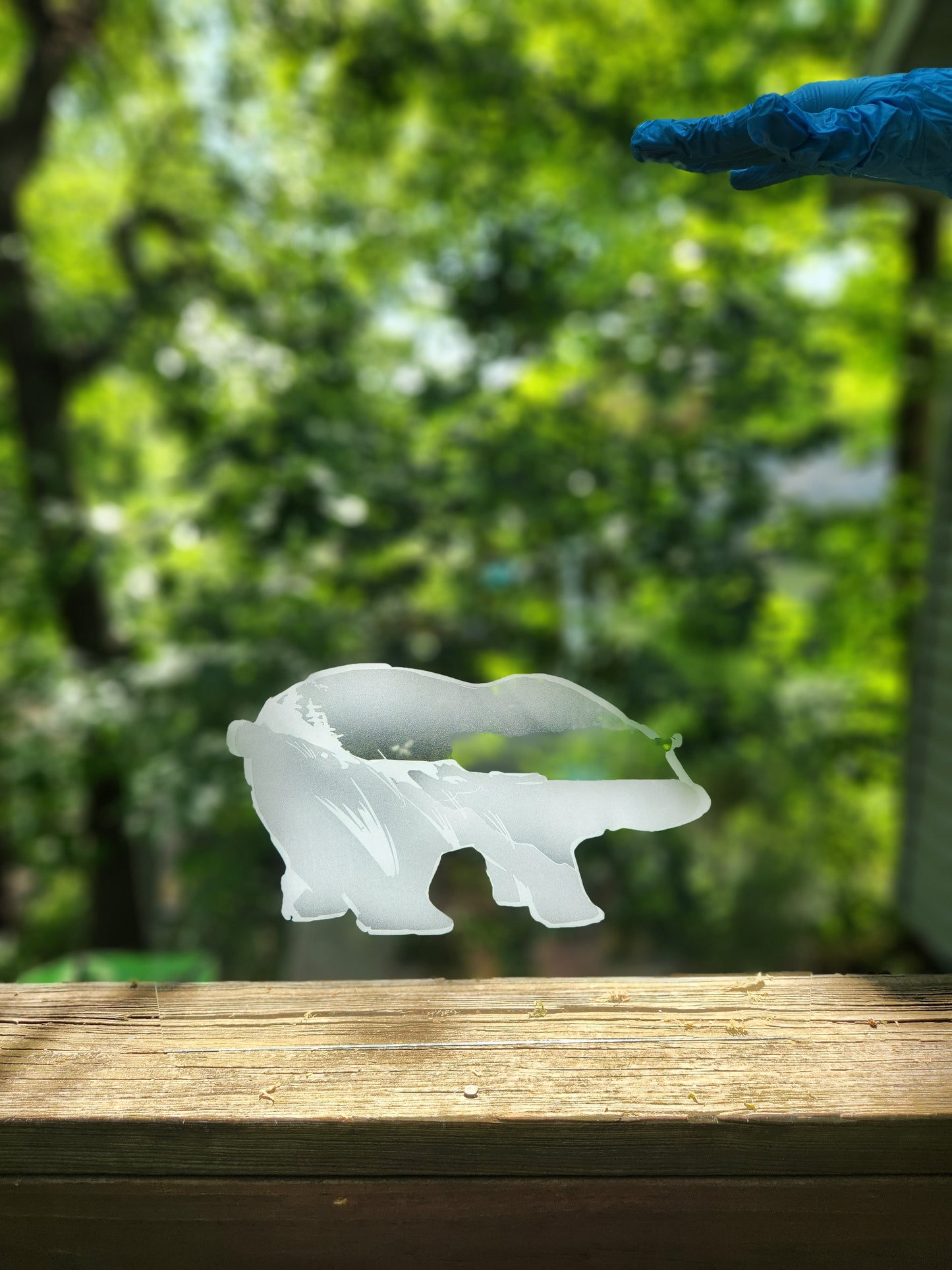 Sleeping Bear Dunes - Custom Etched Glass