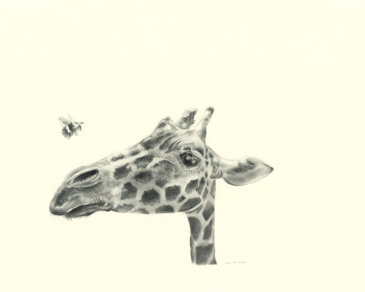 Giraffe and Bumblebee - Giclee Print or Original