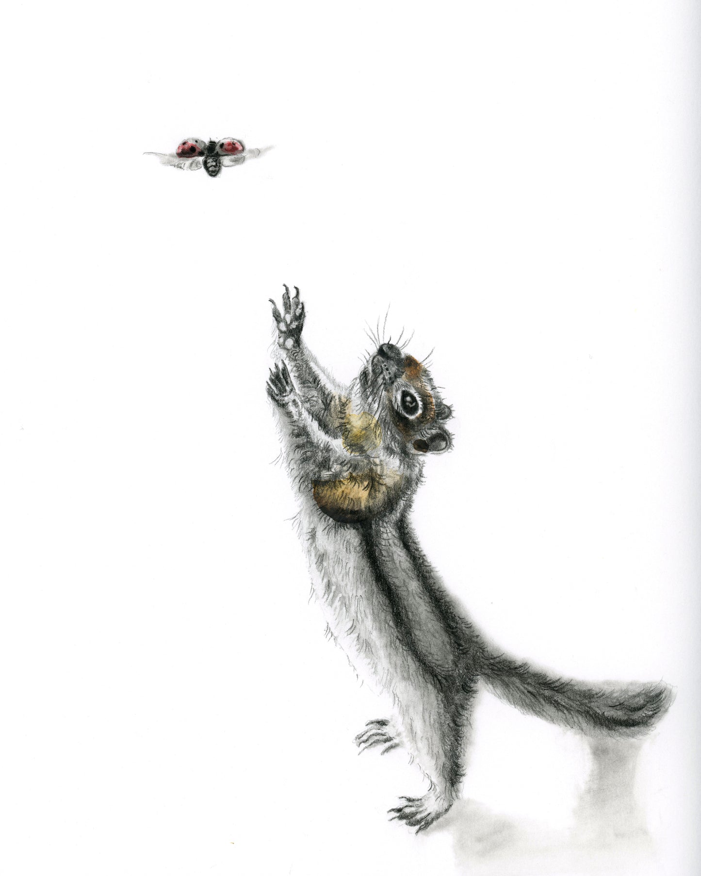 Chipmunk and Ladybug- Giclee Print or Original