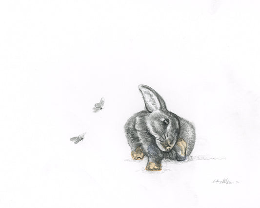 Bunny and Butterflies- Giclee Print or Original