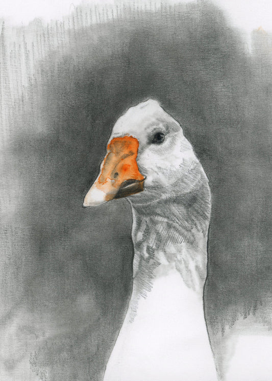 Goose - Giclee Print or Original