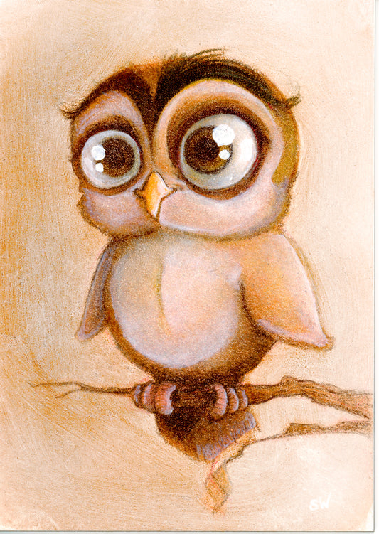 Owl - Giclee Print