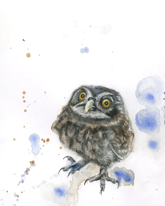 Owl - Giclee Print or Original