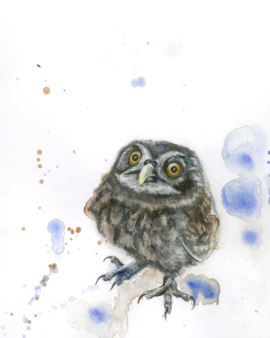 Owl - Giclee Print