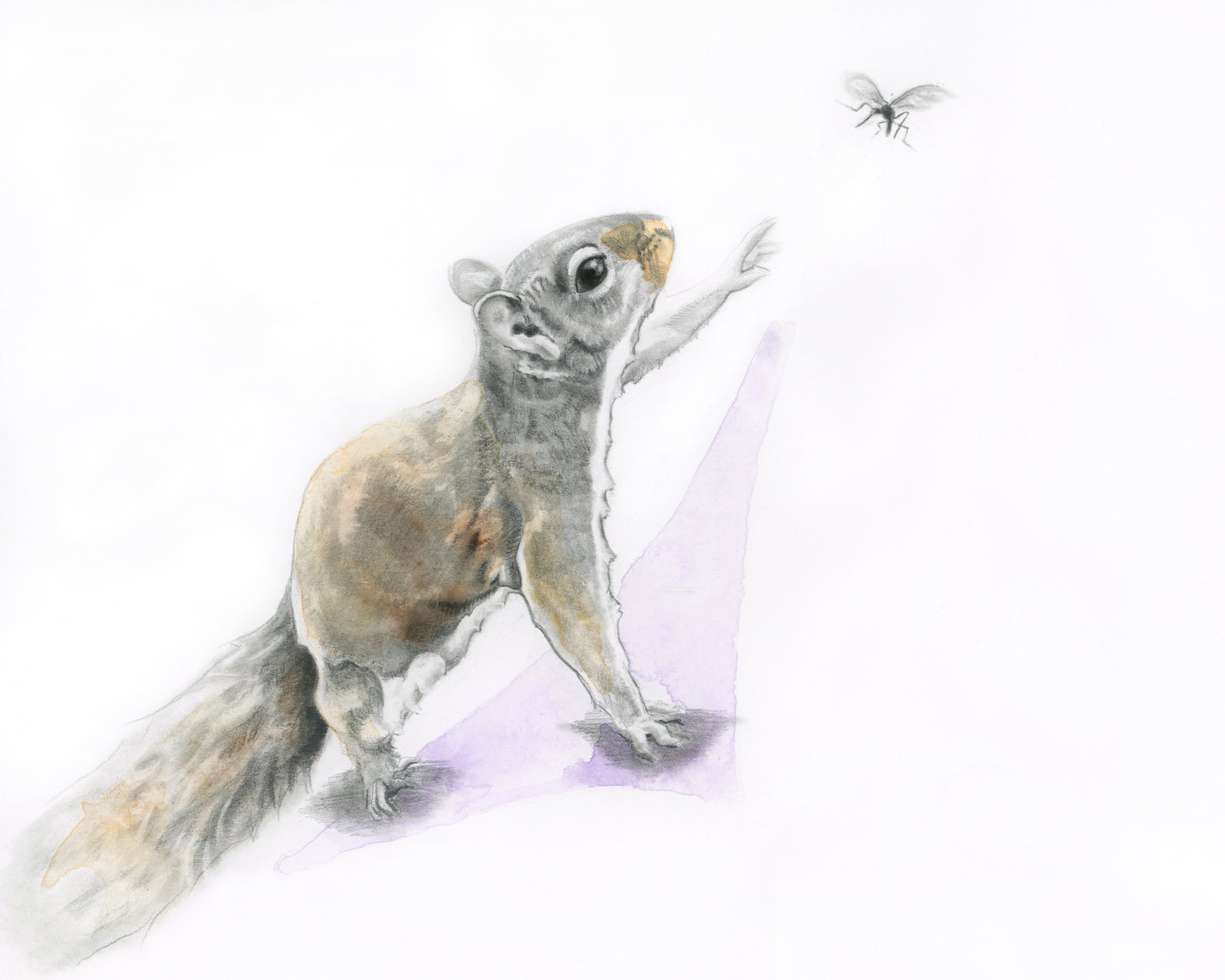 Squirrel and Mosquito - Giclee Print or Original